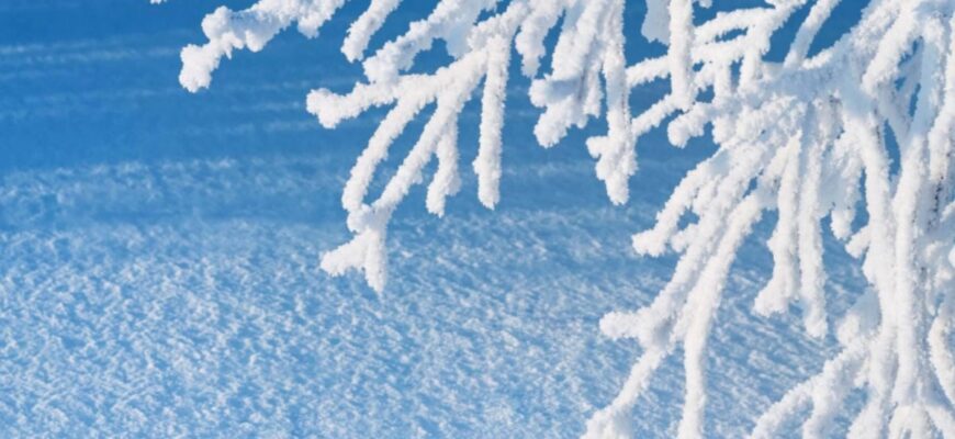 У два регіони України повернеться похолодання: коли і де чекати зниження температури У два регіони України повернеться похолодання: коли і де чекати зниження температури