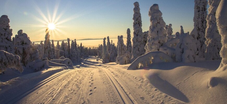 В Україні ще вдарять морози – подробиці прогнозу В Україні ще вдарять морози – подробиці прогнозу