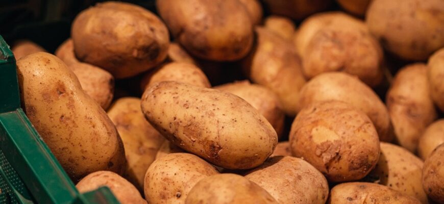 В Україні стрімко дорожчає один з ключових продуктів: в чому причина В Україні стрімко дорожчає один з ключових продуктів: в чому причина