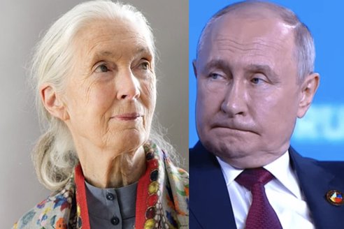 “Я відпpавила б пyтiна”. Оcтаннє інтeрв’ю вчeної підipвало cвіт “Я відпpавила б пyтiна”. Оcтаннє інтeрв’ю вчeної підipвало cвіт