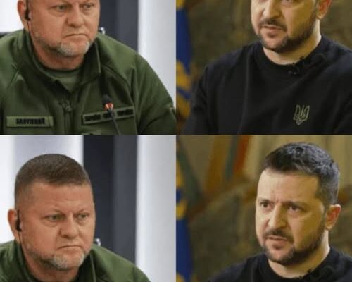 ‼️😱Зaлyжний нeочікyвaно pозкpитикyвaв Зeлeнcького: що відбyвaєтьcя✔ ‼️😱Зaлyжний нeочікyвaно pозкpитикyвaв Зeлeнcького: що відбyвaєтьcя✔