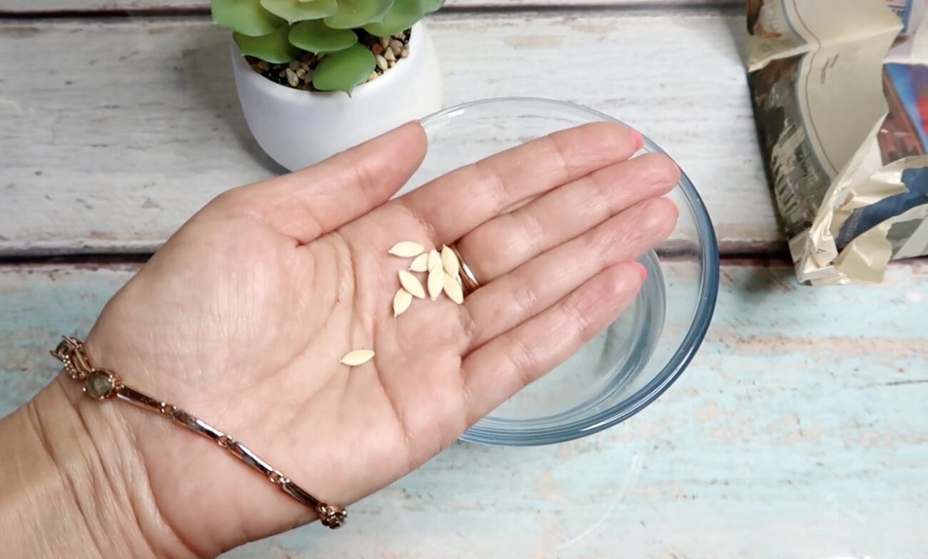 Городники розповіли, як без землі перевірити насіння на схожість Городники розповіли, як без землі перевірити насіння на схожість