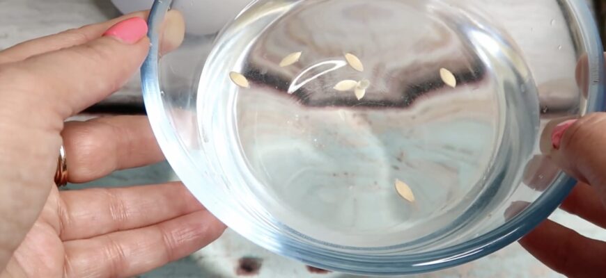 Перевіряю насіння перцю на схожість без землі: кладу в солону воду на 10 хв – пусті зерна самі себе видають Перевіряю насіння перцю на схожість без землі: кладу в солону воду на 10 хв – пусті зерна самі себе видають