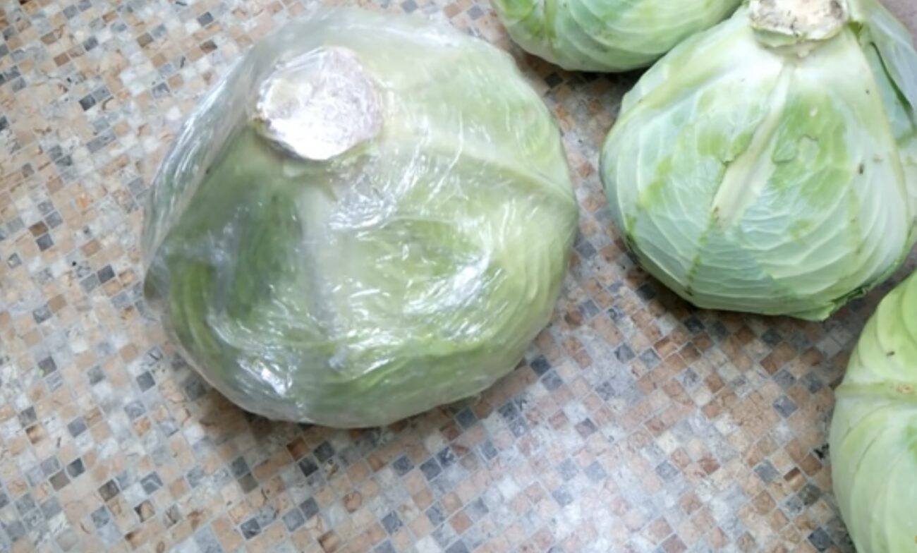 Господині розповіли, як зберігати капусту, щоб вона не чорніла Господині розповіли, як зберігати капусту, щоб вона не чорніла
