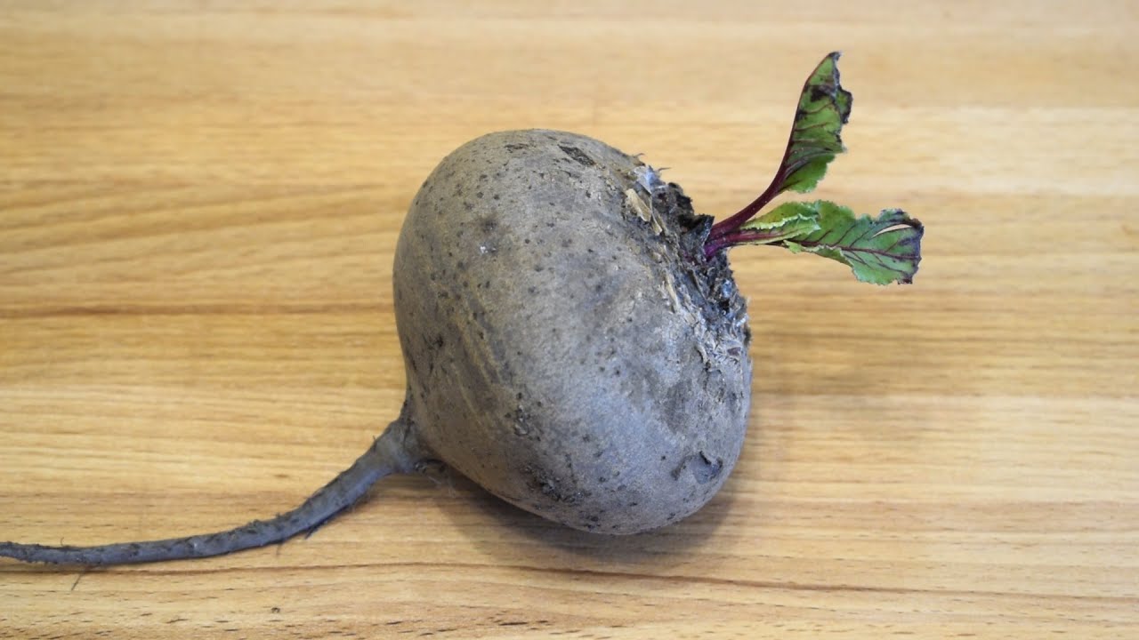 Експерти пояснили, як правильно варити буряк без втрати кольору та смаку — проста порада