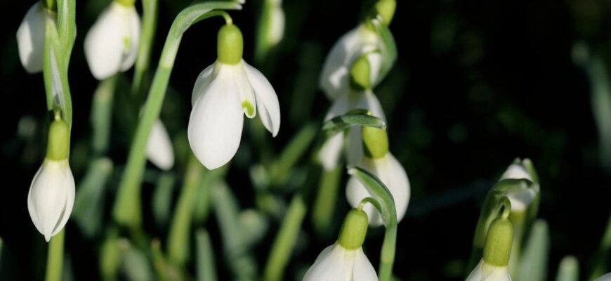 День ангела 1 березня: кого та як вітати з іменинами День ангела 1 березня: кого та як вітати з іменинами