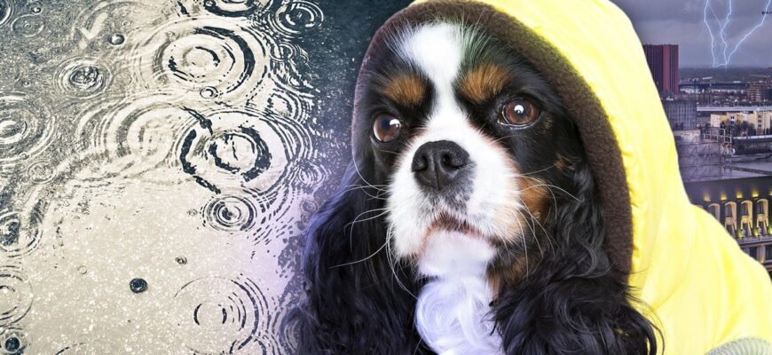 Погода готує сюрприз: синоптикиня попередила, чого чекати на початку весни Погода готує сюрприз: синоптикиня попередила, чого чекати на початку весни