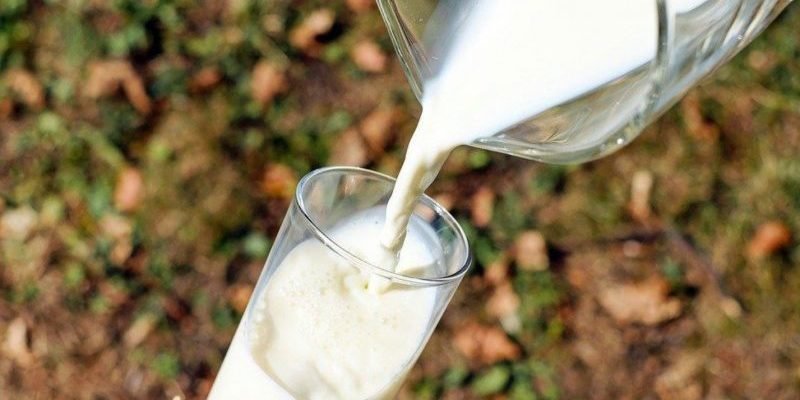 Запам’ятайте!! Які продукти не можна вживати разом з молоком