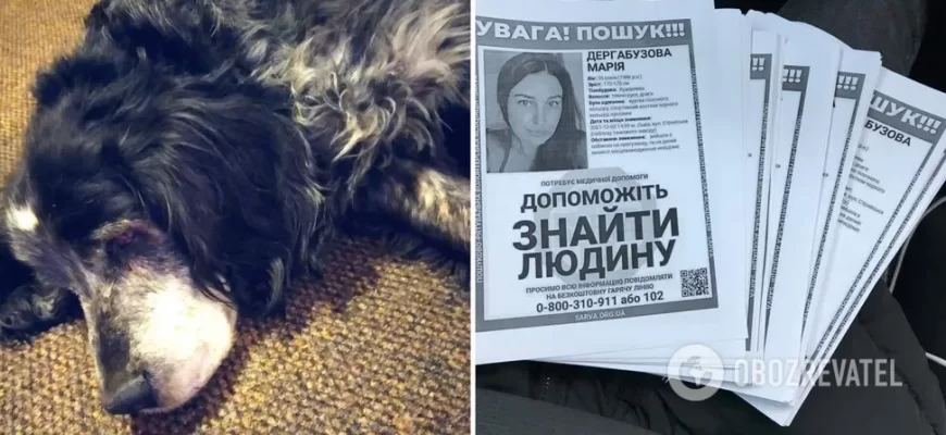 Сліпий собака повернувся з прогулянки без господині: у Львові за дивних обставин пропала 34-річна жінка. Фото