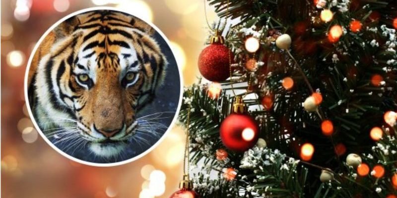 Як прикрасити новорічну ялинку, щоб задобрити Тигра: важливі поради