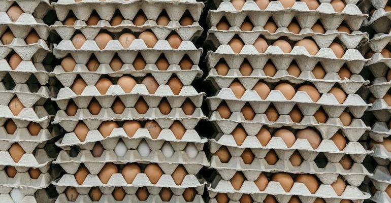На 9 «соціальних» харчових продуктів запровадили держрегулювання цін: список
