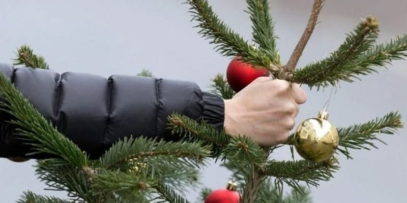 Когда лучше выбрасывать из дома елку, чтобы не потерять достаток и счастье
