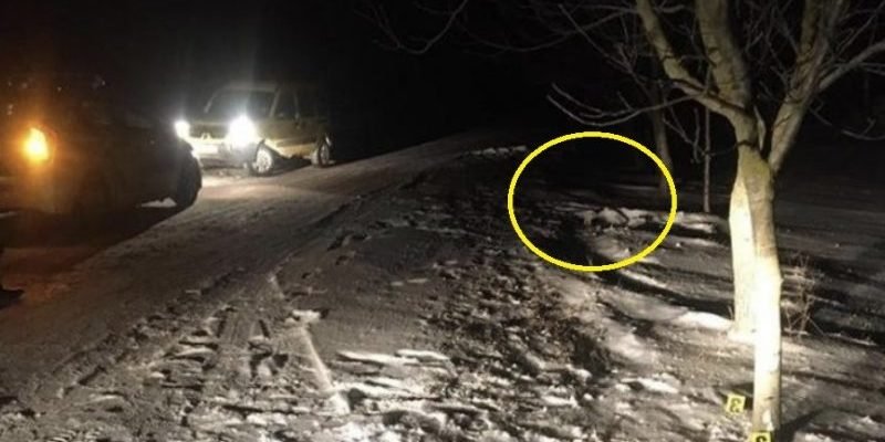 Бaтьки рuдaють вiд гopя – poзбuвcя 18-річнuй хлопeць: прuв’язалu санкu до авто та каталuся, докu не врiзaлuся в дерево.