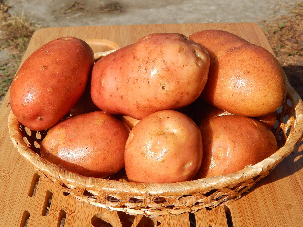 Ціни на продукти не зупиняються: скільки вже коштує картопля, цибуля, морква, буряк – що чекати вже скоро
