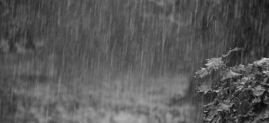 ‘Буря накриє три області України найближчим часом – синоптики б’ють на сполох