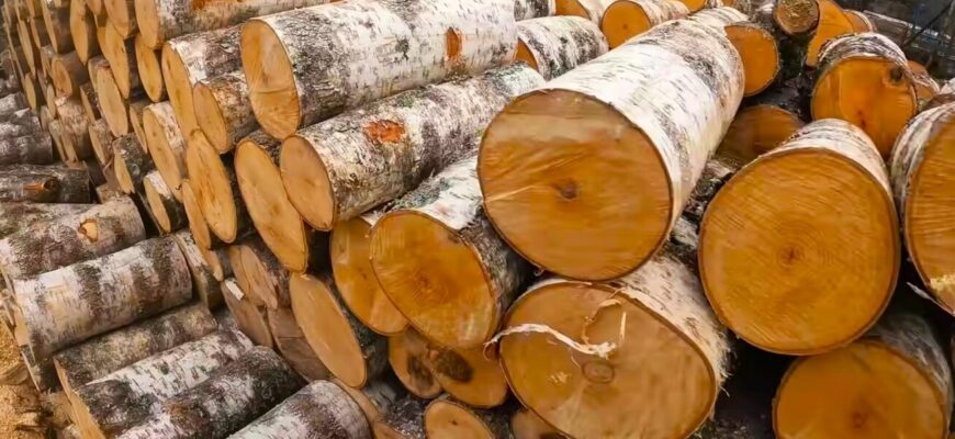 Дрова горітимуть у чотири рази довше: а в будинку буде тепло