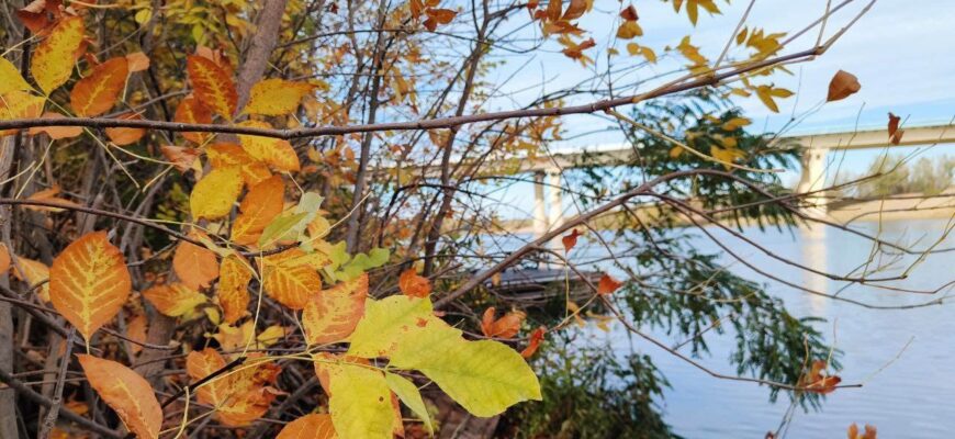 Синоптики обіцяють аномальне тепло: які сюрпризи чекають на українців у листопаді