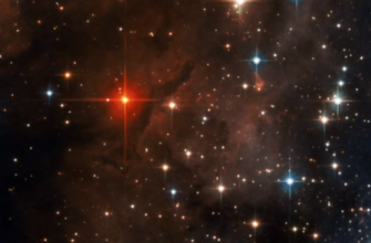 Тельці – цей день створений для вас, Терези – довіртеся чуйці, Водолії – спонукайте на гальмі: гороскоп на 22 листопада 2025 року