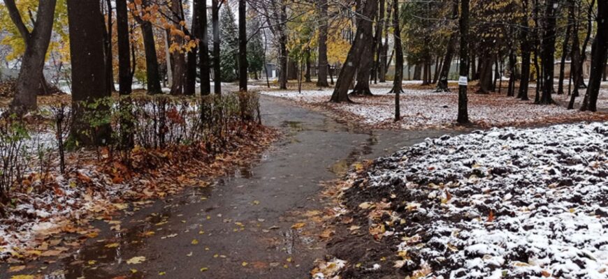 Україну накриє серія циклонів – до якої погоди готуватися наступного тижня