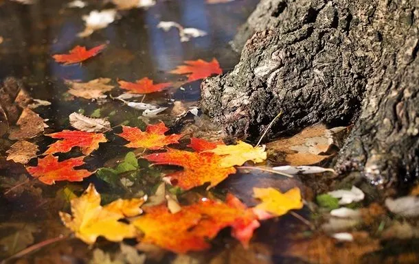 Завтра до України прийде потепління: відома погода на найближчі вихідні