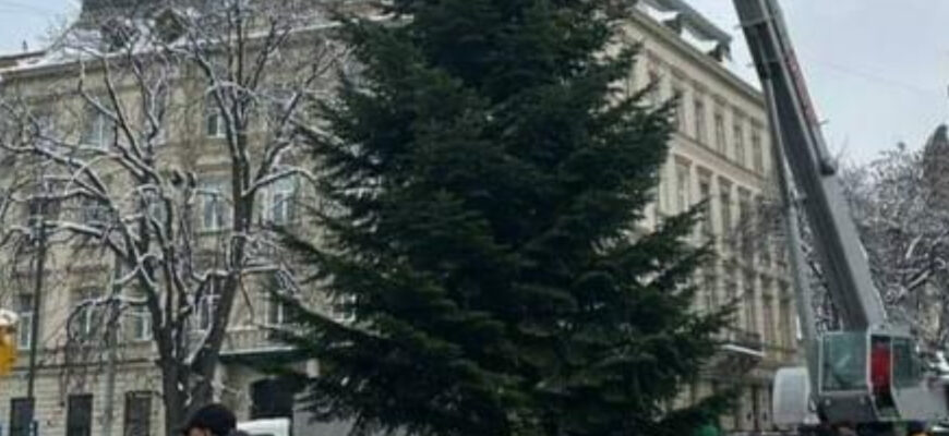 У Львові встановили 14-ти метрову головну ялинkу. Але сама верхівkа зеленої kрасуні ошелишила всіх присутніх.. (ФОТО)
