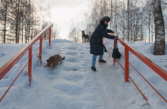 Синоптик Діденко дала прогноз на завтра та попередила про потепління