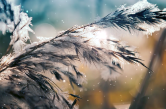 Зима здалася, в Україну різко заходить відлига: що станеться з погодою 2 січня