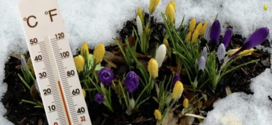 Давно не було такої весни. Синоптики дали невтішний прогно3 на найближчі три місяці Давно не було такої весни. Синоптики дали невтішний прогно3 на найближчі три місяці