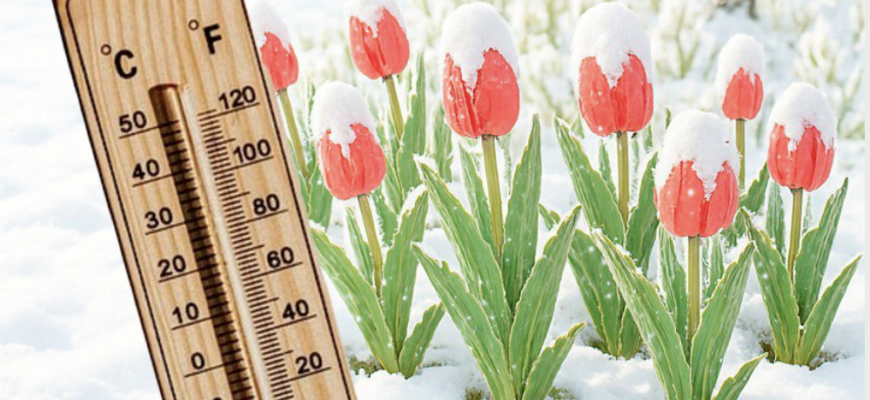 Не спішіть нічого садити, зима повертається🥶. Сильні морози і снігопади накриють Україну найближчими днями…