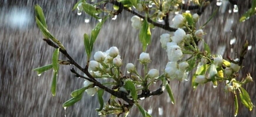 Частина України найближчим часом накриють грозові зливи – в яких областях чекатиме опадів Частина України найближчим часом накриють грозові зливи – в яких областях чекатиме опадів