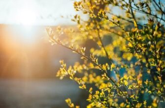 Тепло до +23°C повертається до України: синоптик порадувала прогнозом на найближчий тиждень