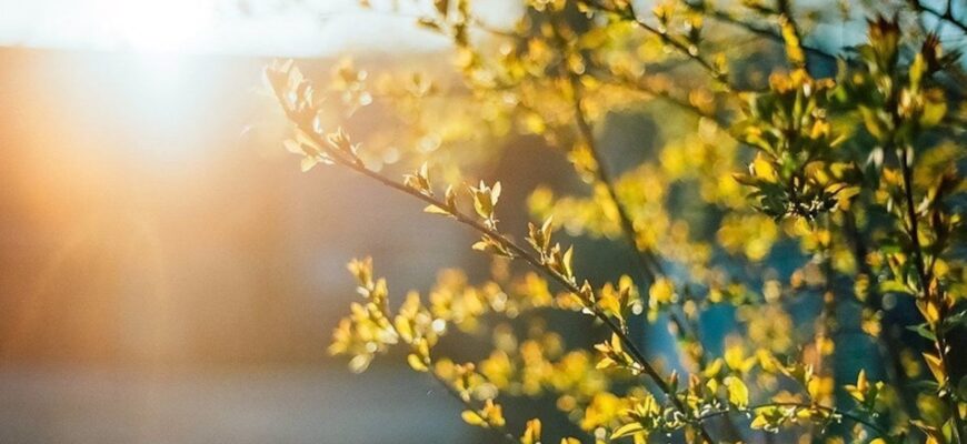 Тепло до +23°C повертається до України: синоптик порадувала прогнозом на найближчий тиждень Тепло до +23°C повертається до України: синоптик порадувала прогнозом на найближчий тиждень