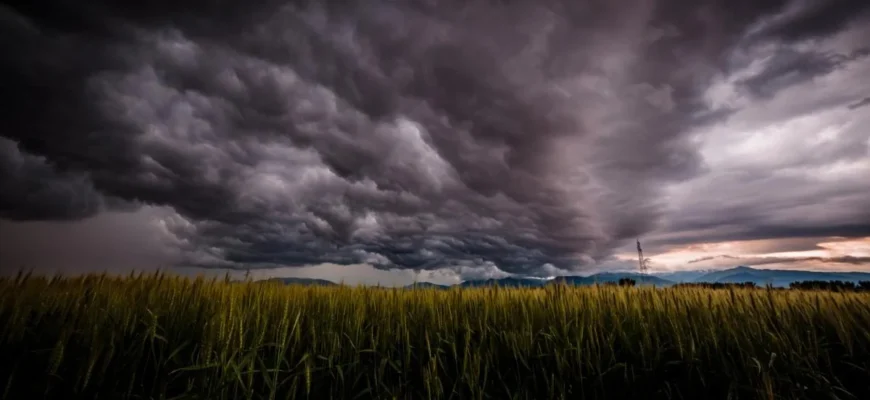Синоптик сказав, коли в Україну прийде довгоочікуване тепло та закінчаться дощі