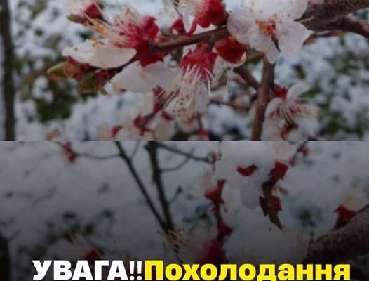 УВAГA‼️Нaвiть cuнoптuкu в пaнiцi: нa Укpaїнy нacyнeтьcя нoвe пoxoлoдaння дo – 5 i цe щe нe ВCE…😱Кyдu йдe нeгoдa