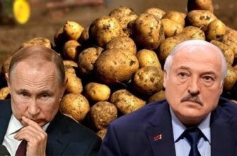 Путін попросив у Лукашенка картоплі: відповідь вас здивує