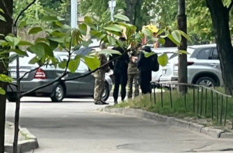 Мобілізація з 18 років: Кабмін готує розширені списки, кому час збирати рюкзаки