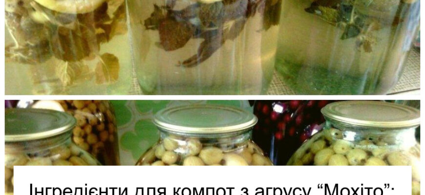 Рецепт приготування смачного домашнього “Мохіто”