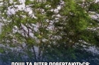 Дощі та вітер повертаються: синоптик Діденко попередила про погоду на завтра, 19 червня. Подробиці…