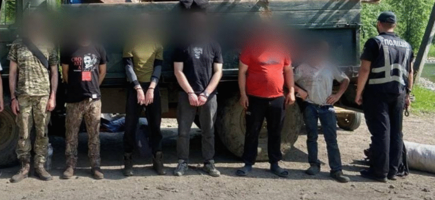 Біжать з коровами і свинями: ухилянти розробили новий спосіб перетнути кордон – скільки це коштує. Фото