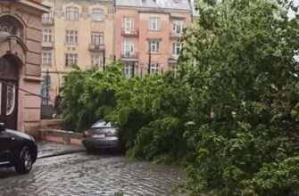 Дикий вітер із дощами: синоптик Діденко попередила про погоду на завтра, 18 червня