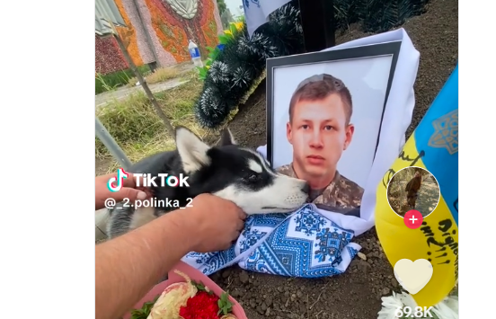Кадри зворушили до сліз: Собака прийшов на могилу до свого господаря, який загинув, захищаючи Україну (відео)