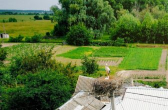 Майже +22 і дуже багато води: синоптики попередили, якою буде літня погода у липні 2025 року