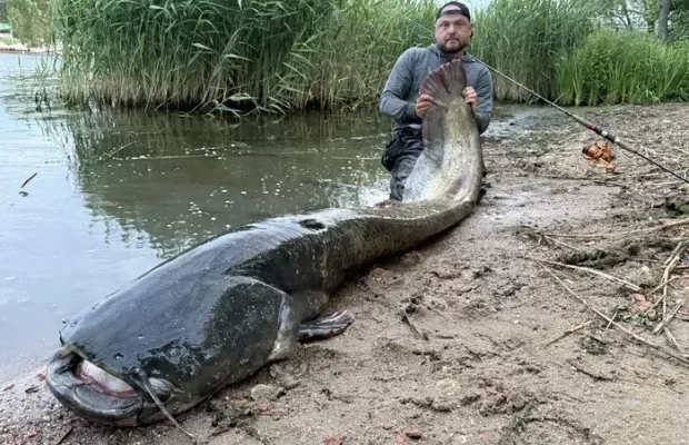 Може мати вік понад 50 років: Польський рибалка впіймав сома-гіганта (фото)