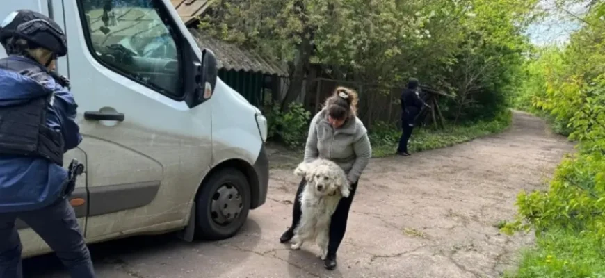На Сумщині люди відмовляються евакуюватись із прикордонної зони