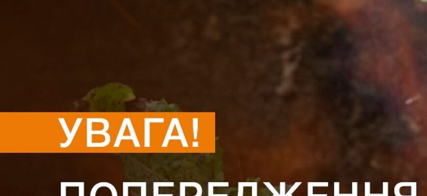 Похолодало до +8: синоптики предупредили о первом уровне опасности