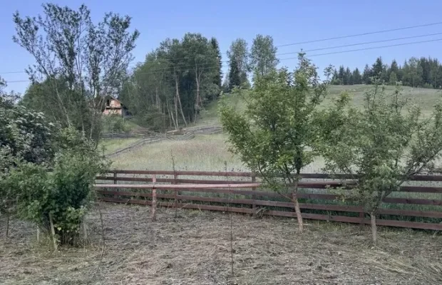 “Полуниця вкрилась інеєм”: На Буковині температура серед червня впала до нуля (фото)