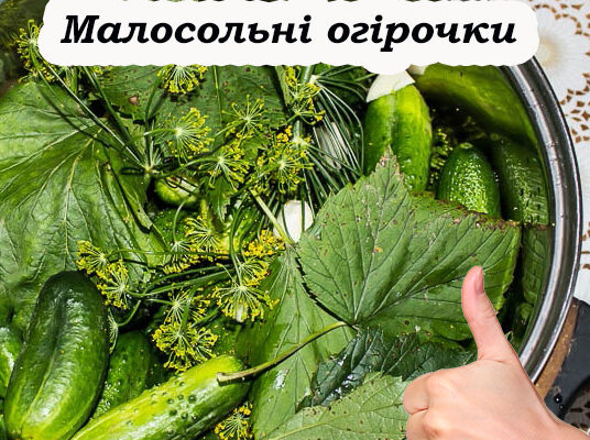 Швидкі у приготуванні та смачні малосольні огіркu. Можна їсти вже наступного дня. рецепт