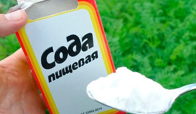 Сода — це незамінний помічник на городі. Захистить рослини від хвороб та шкідників. деталі