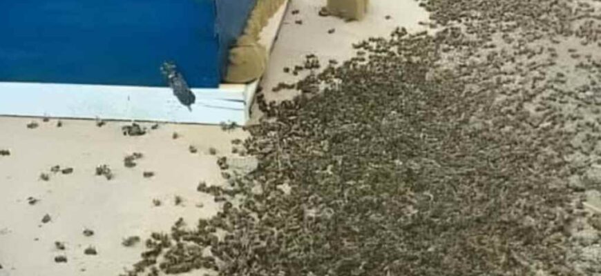 ТЕРМІН0В0! Це сталося вчора. Я дуже надіюся, що це побачать ті, хт0 до цього причетний, бо це справжня КАТАСТР0ФА, яку приховують від нас