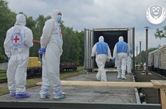 Тіла ще 1200 загuблих в0їнів повернули в Україну